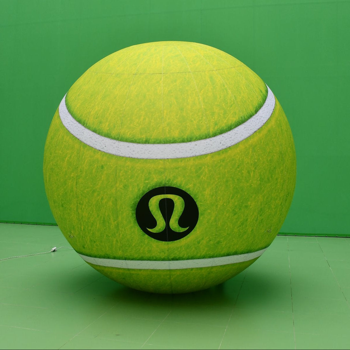 Customised Inflatables (Priced To Order)
