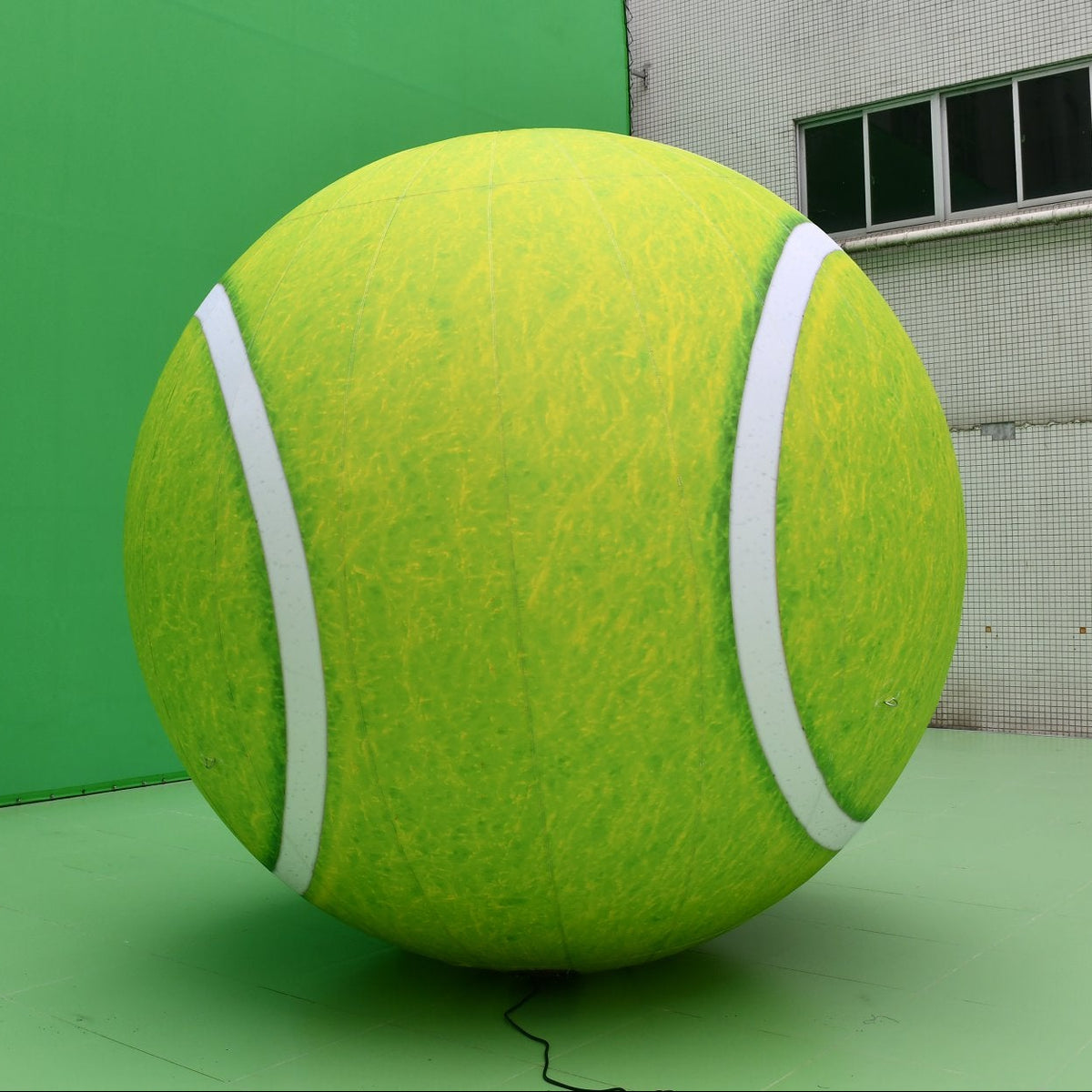 Customised Inflatables (Priced To Order)