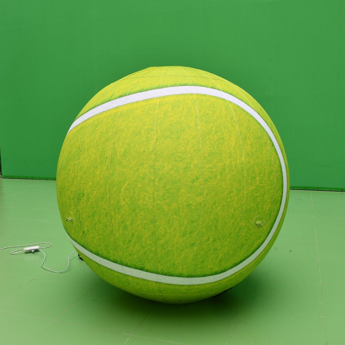 Customised Inflatables (Priced To Order)