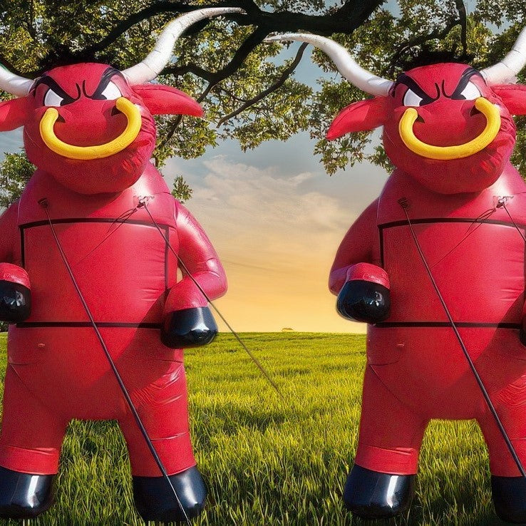 Customised Inflatables (Priced To Order)