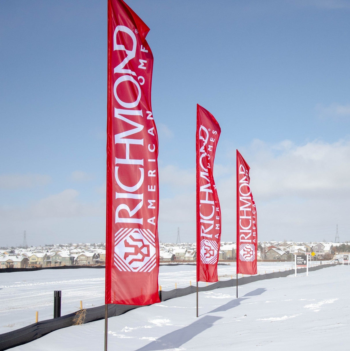 3 Metre / 10 Foot Rectangle Flag