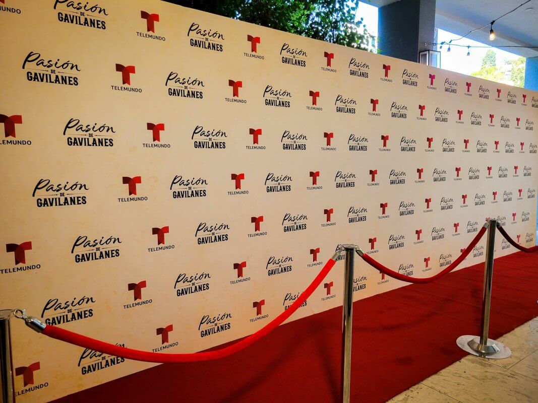 5.9M W x 2.2M H Media Wall