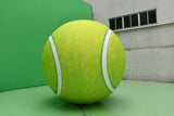 Customised Inflatables (Priced To Order)