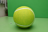 Customised Inflatables (Priced To Order)