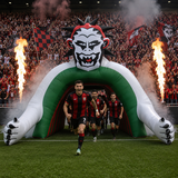 Customised Inflatables (Priced To Order)
