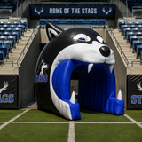 Customised Inflatables (Priced To Order)