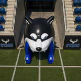 Customised Inflatables (Priced To Order)