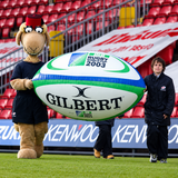 Customised Inflatables (Priced To Order)