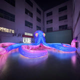 Customised Inflatables (Priced To Order)