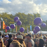 Non LED Crowd Balls - 1 Metre (Most Popular Size)